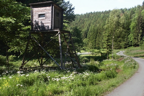 64D9AD9B46-2A7A-1ADB-F671-D0467275578D.jpg